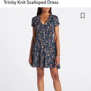 Stitch Fix nine britton dress